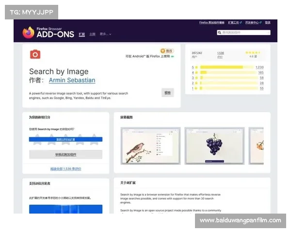 全面掌握火狐浏览器最新功能与高效实用技巧提升上网体验指南